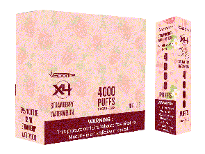 X4 Disposables-Strawberry Watermelon-4000