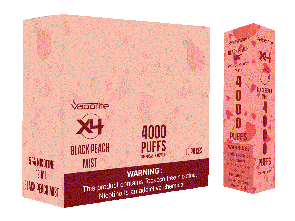X4 Disposables-Black Peach Mist-4000