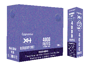 X4 Disposables-Blueberry Mist-4000