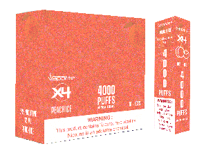X4 Disposables-Peach Ice-4000