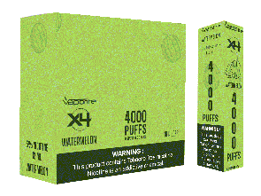 X4 Disposables-Watermelon-4000