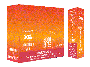 X6 Disposables-Black Peach Mist-6000