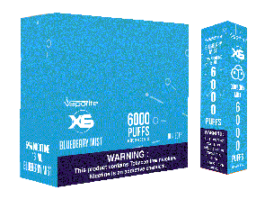 X6 Disposables-Blueberry Mist-6000